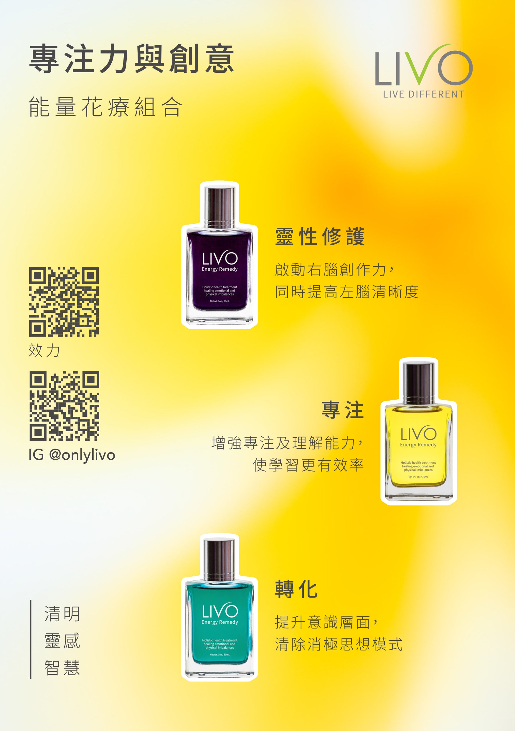 FOCUS & CREATIVITY SET