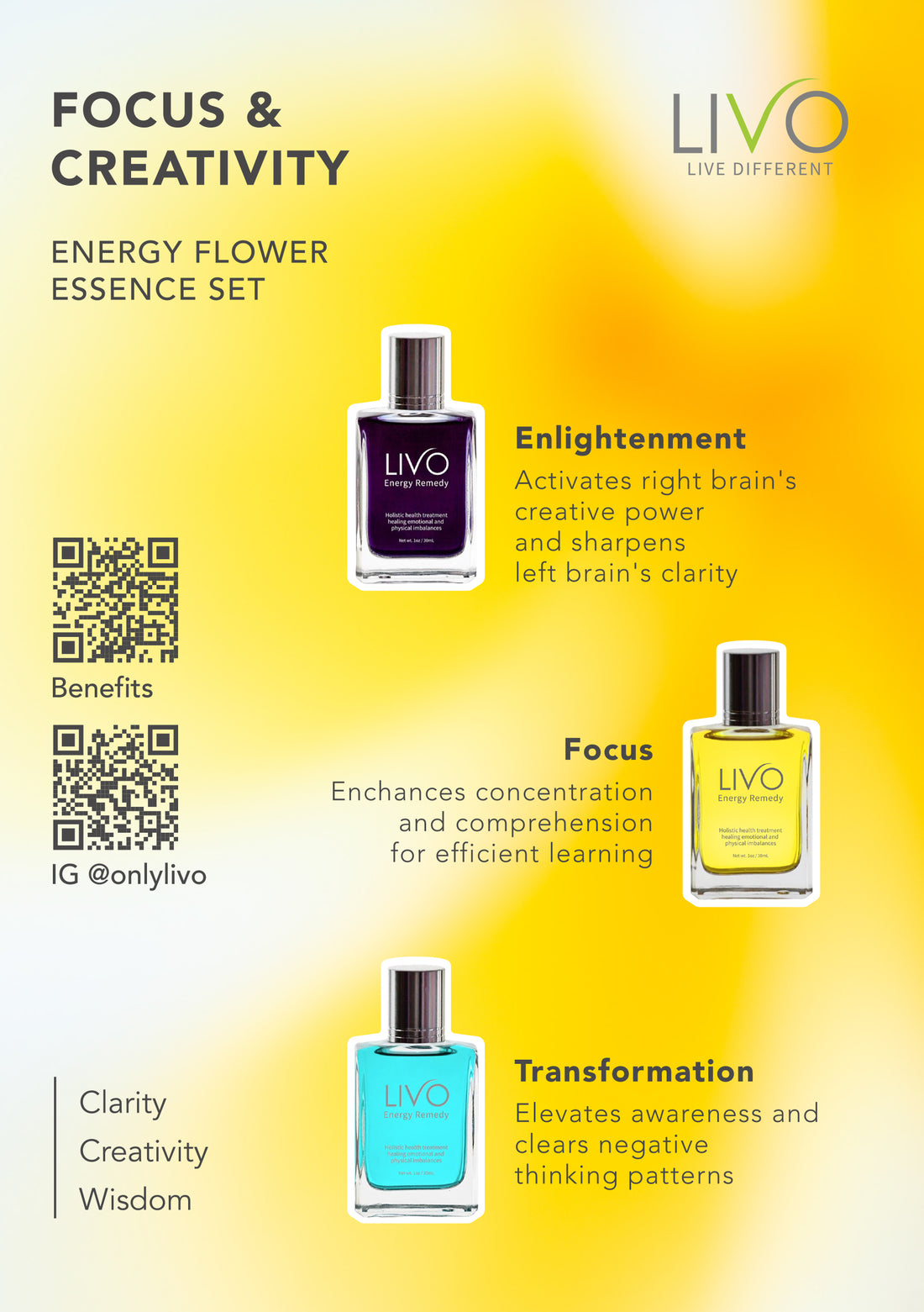FOCUS &amp; CREATIVITY SET