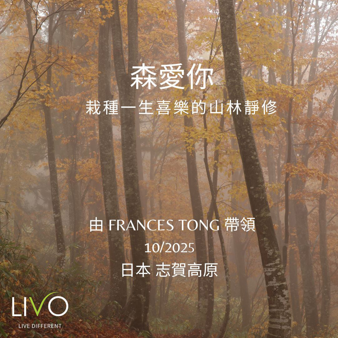 You are the Beloved 。 A Mountain Retreat on Cultivating Lasting Joy